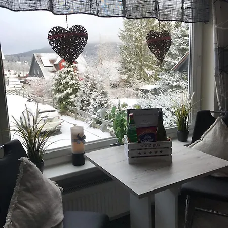 Wurmbergblick Nico In 4 Sterne Zertifiziert Vom Dtv Inklusive Waeschepakete Apartament Braunlage