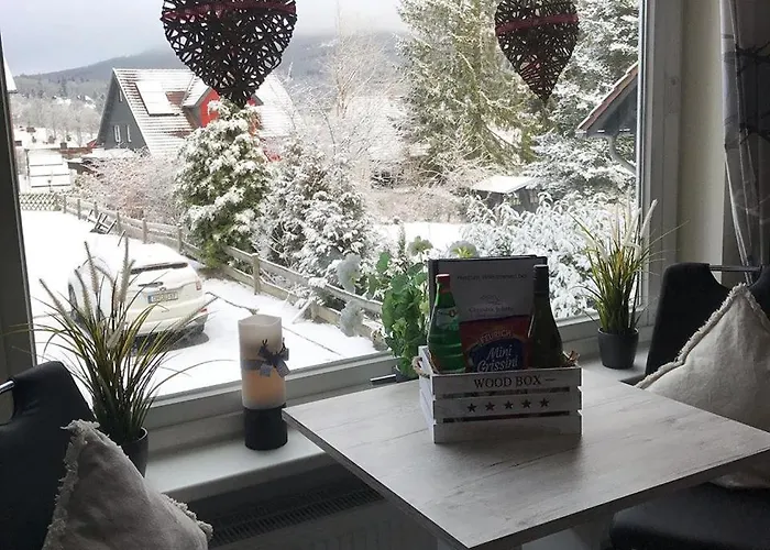 Wurmbergblick Nico In 4 Sterne Zertifiziert Vom Dtv Inklusive Waeschepakete Апартаменты Браунлаге